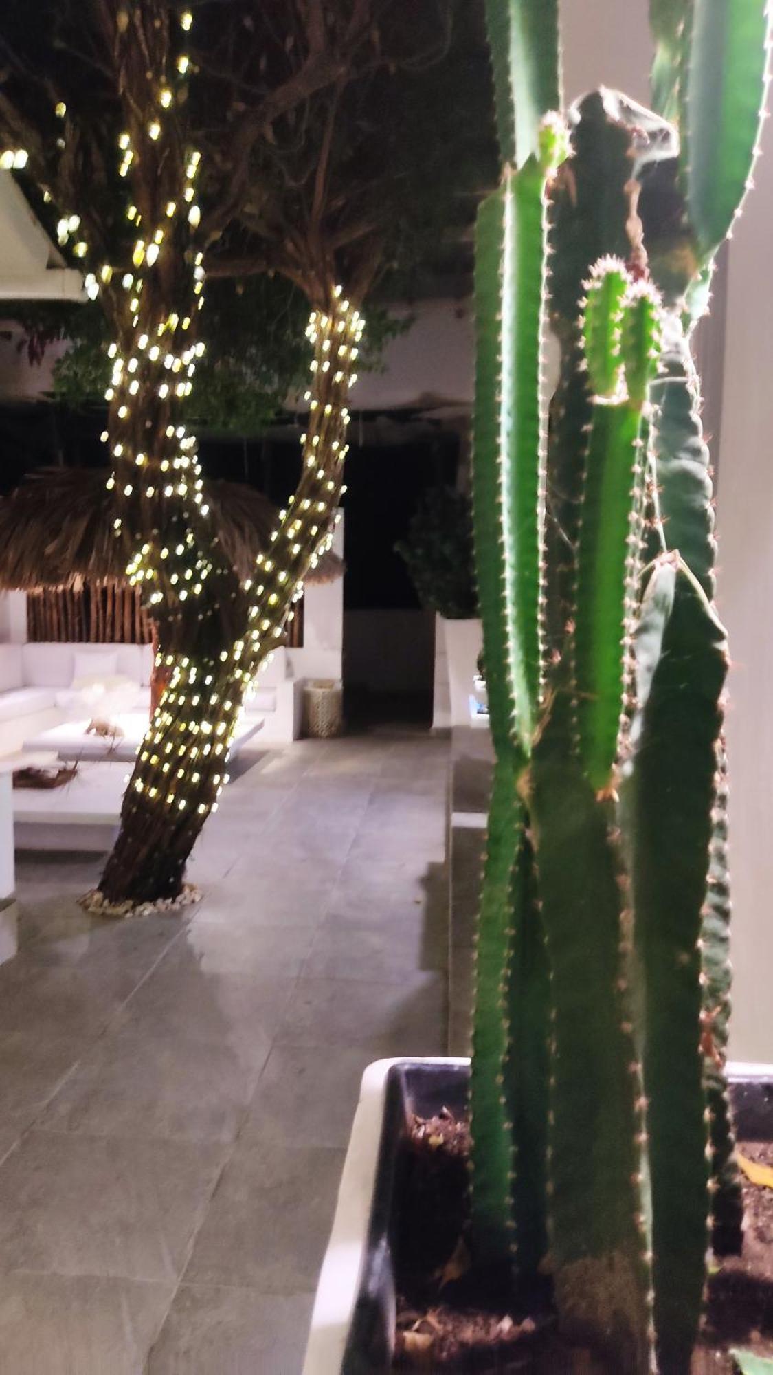 Rincon Del Mar Veleros Hotel San Onofre Екстер'єр фото